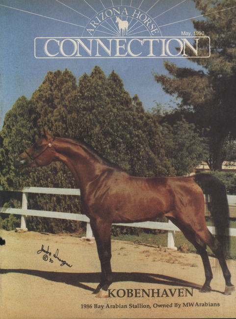 Arizona Horse Connection Cover Bo Insogna