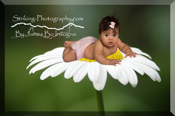 Longmont - Boulder - Baby Photography Portraits Longmont - Boulder - Baby Photography Portraits