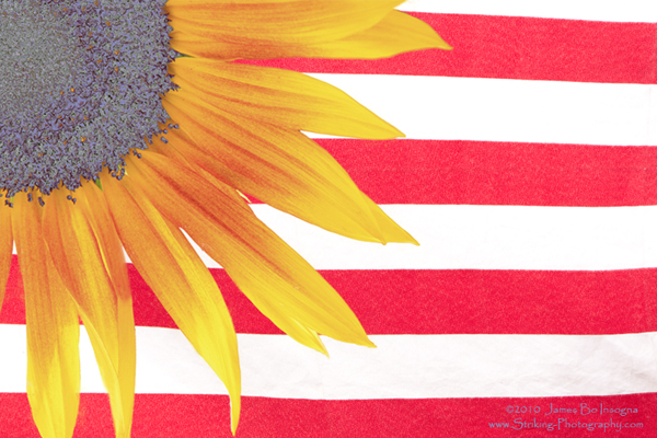 sunflower flag 600s Sunflower Country Patriotic Flag Image
