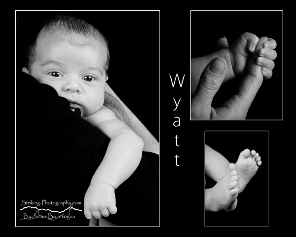 baby photography photos portraits longmont
